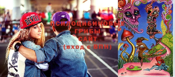 бошки Алексеевка