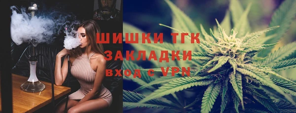 дмт Нягань