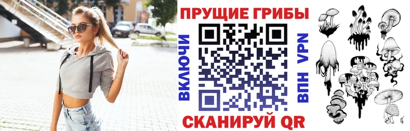 Галлюциногенные грибы Psilocybine cubensis  наркотики  Мураши 